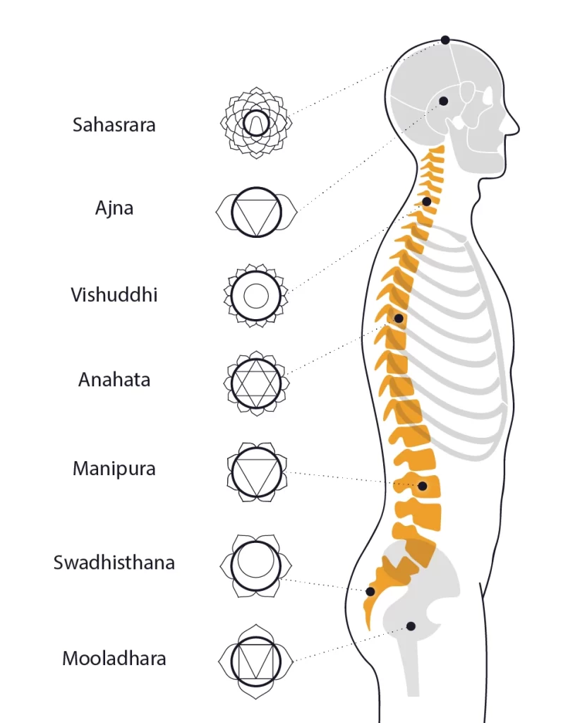 Imágenes de los 7 chakras y su significado en el cuerpo humano